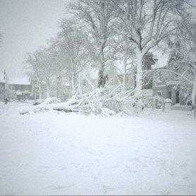 Une bonne bordée de neige est attendue à Québec ce mercredi.