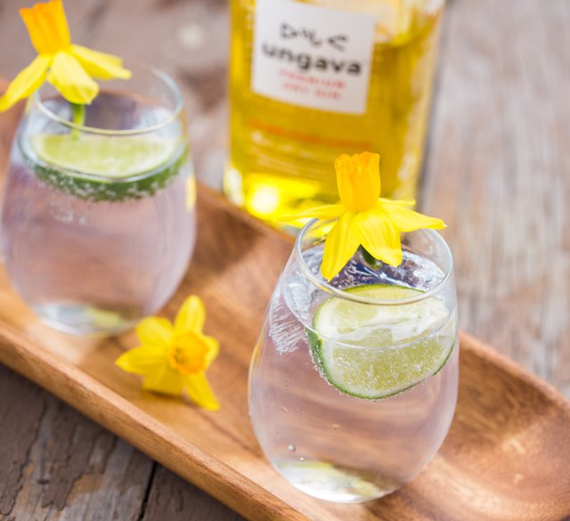 Chronique GIN avec notre sommelière Jessica Harnois
