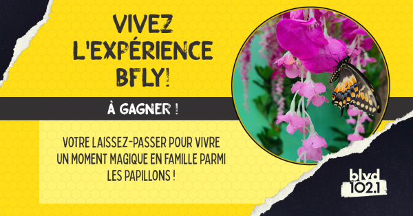 Gagne ta sortie familiale pour BFLY!