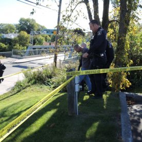 Agresseur du Parc linéaire de la Rivière-Saint-Charles