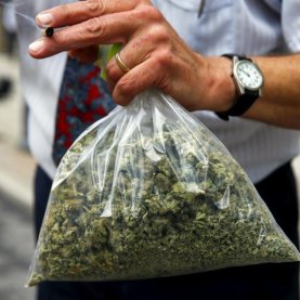 Légalisation du cannabis : une journée particulière hier Légalisation du cannabis : une journée particulière hier