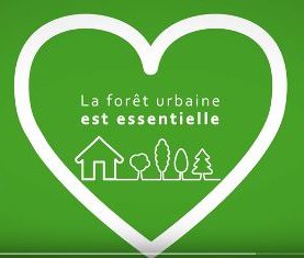 Vision de l'arbre 2015-2025