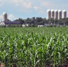 Regroupement de producteurs agricoles à Québec vendredi (11 novembre) Regroupement de producteurs agricoles à Québec vendredi (11 novembre)