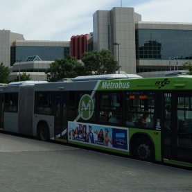 Des autobus aux heures de pointe, 7 jours sur 7