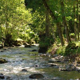 Québec a son plan pour la rivière Lorette Québec a son plan pour la rivière Lorette