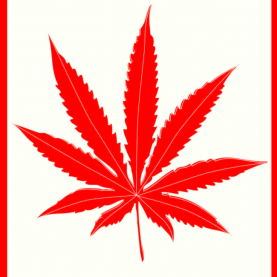 Adoption du projet de loi sur la légalisation de la marijuana Adoption du projet de loi sur la légalisation de la marijuana