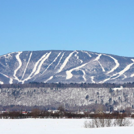 Fermeture des stations de ski et patinoires Fermeture des stations de ski et patinoires