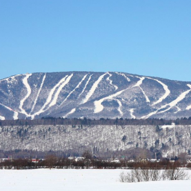 Fermeture des stations de ski et patinoires 