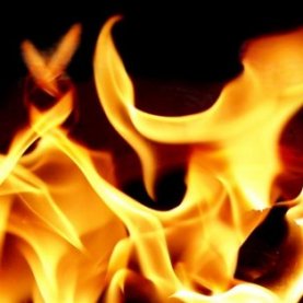 800 porcs périssent dans les flammes à Saint-Gervais dans Bellechasse 800 porcs périssent dans les flammes à Saint-Gervais dans Bellechasse