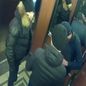 Vol au Hilton: le SPVQ recherche 3 suspects Vol au Hilton: le SPVQ recherche 3 suspects
