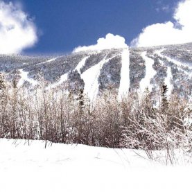 Massif du sud : qui dit vrai ?