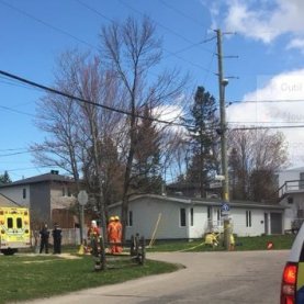Émondeur victime d'un accident de travail Émondeur victime d'un accident de travail