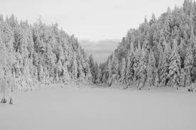 Encore de la neige... Encore de la neige...