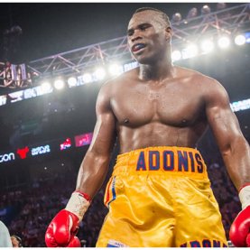 Adonis Stevenson est dans un état critique, mais stable Adonis Stevenson est dans un état critique, mais stable