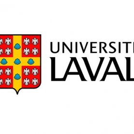 Sclérose latérale amyotrophique: importante percée à l'Université Laval Sclérose latérale amyotrophique: importante percée à l'Université Laval
