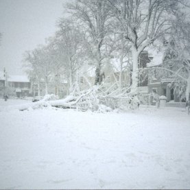 Une bonne bordée de neige est attendue à Québec ce mercredi.  