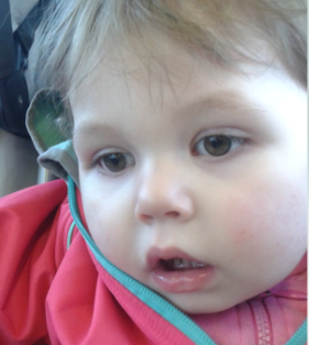 Mort de la petite Rosalie Gagnon: la DPJ mise en cause Mort de la petite Rosalie Gagnon: la DPJ mise en cause