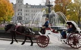 Trop chaud pour les chevaux de calèche à Québec Trop chaud pour les chevaux de calèche à Québec