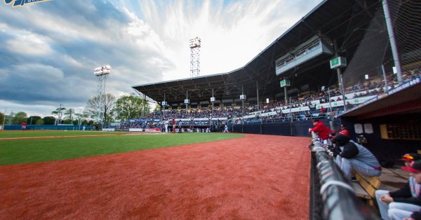 Baseball: La ligue Can-Am n'est plus