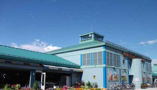 Le Marché du Vieux-Port démoli