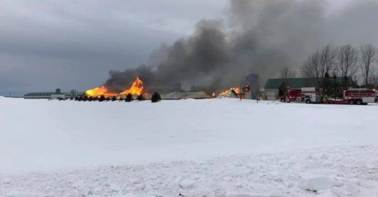 30 000 poussins périssent dans un incendie à Saint-Isidore