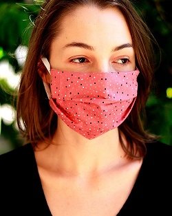 Québec oblige le port du masque dans les transports en commun Québec oblige le port du masque dans les transports en commun