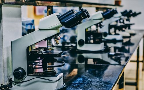 PAS DE RÉPIT POUR LE VIRUS PAS DE RÉPIT POUR LE VIRUS