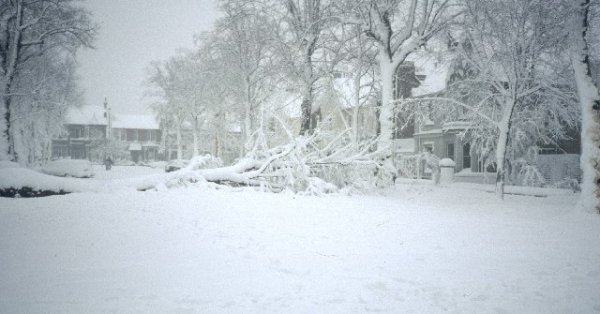 UNE TEMPÊTE DE NEIGE À L'HORIZON