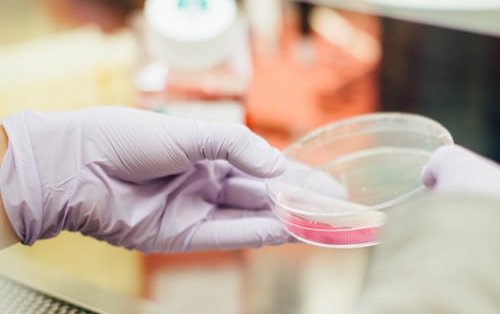 Les Développements sur le coronavirus du 27 janvier Les Développements sur le coronavirus du 27 janvier