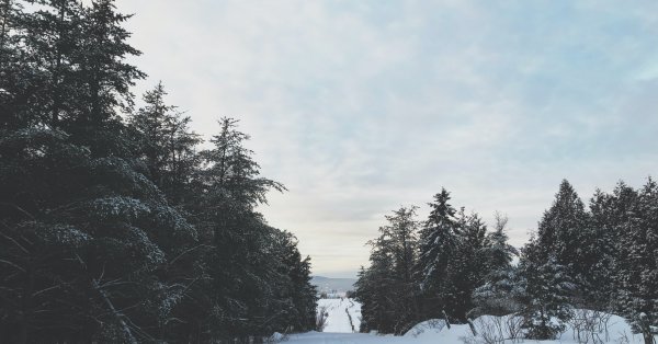 Au moins trois morts dans des accidents de motoneige cette fin de semaine au Québec