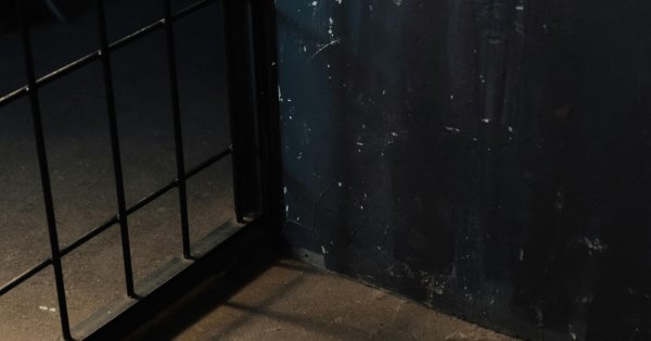 Deux fraudeurs du scandale chez Desjardins se dirigent vers la prison