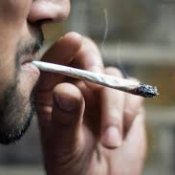 Vente cannabis: Québec réclame un moratoire d'un an Vente cannabis: Québec réclame un moratoire d'un an