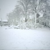 Une bonne bordée de neige est attendue à Québec ce mercredi. Une bonne bordée de neige est attendue à Québec ce mercredi.