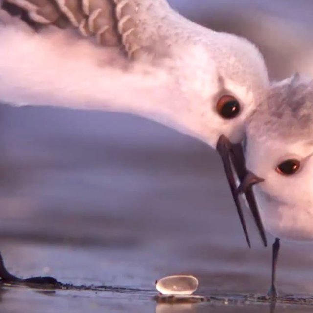 Les premières images du nouveau film de PIXAR 
